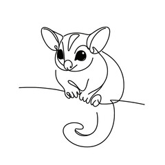 Sugar glider line art illustration on transparent background for Australia Day and animal lovers