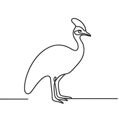 Fototapeta premium Cassowary line art illustration standing on transparent background for Australia Day and animal lovers