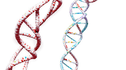 Red and multicolor DNA helices isolated  
