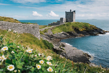 Fototapeta premium Coastal Castle Landscape with Wildflowers