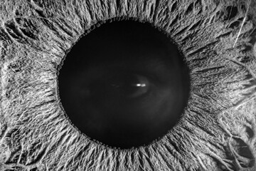 Extreme Macro Black and White Photography of a Human Eye Showcasing Dilated Eye Reflection Inside Pupil and Intricate Iris Textures and Unique Patterns