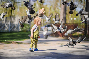 Toddler Walking Among Pigeons in a Sunny Park.