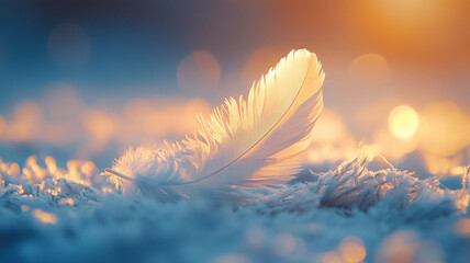 A feather resting on snow at sunset.