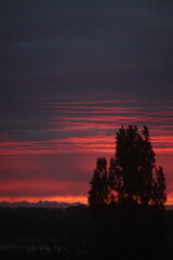 sunset in the forest