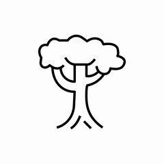 conifer tree icon sign vector