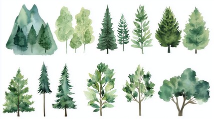 Fototapeta premium A set of watercolor forest clip art, featuring various trees and mountains in green tones against white backgrounds.