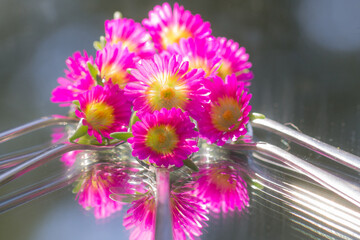 close up of flowers on spoons reflected on mirror