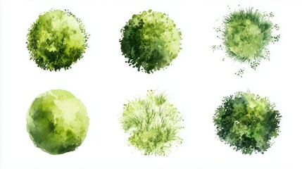 green grass isolated on white background, Set of watercolor tree top view for landscape plan and architecture layout 