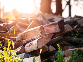A pile of wood logs with some of them being cut. The pile is in the sun and has a rustic feel to it. Natural fuel for a home heating and cooking. Country side living.