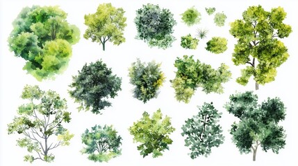 Fototapeta premium Vector tree top view isolated on white background for landscape plan and architecture layout drawing, elements for environment and garden 