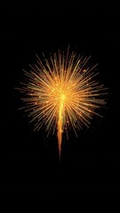Fototapeta premium Vibrant golden firework exploding in mid-air against a dark black background with subtle starry night sky effects, golden glow, explosive