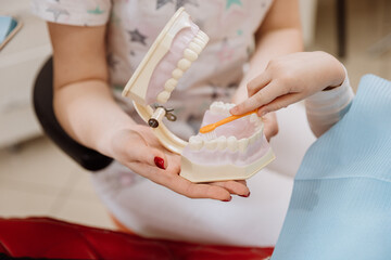 Hands on dental hygiene lesson with teeth model and toothbrush for proper oral care techniques