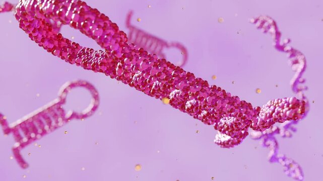 Short hairpin RNA (shRNA) is a synthetic RNA molecule that can silence gene expression through RNA interference; 3d animation