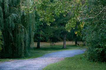 Explore the Beautiful Trails and trees
