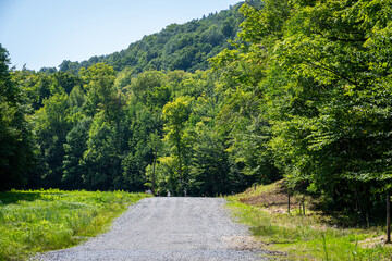Explore the Beautiful Trails and Views of Mont Orford