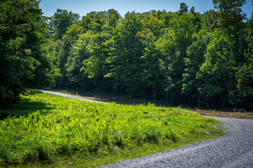 Explore the Beautiful Trails and Views of Mont Orford