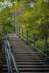 Fototapeta premium Stairs and Vibrant Fall Scene of Trees and Leaves in the Park - landscape in Canada