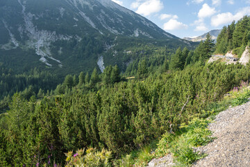 Summer view of Pirin Mountain around Banderitsa River, Bulgaria