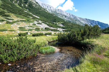 Summer view of Pirin Mountain around Banderitsa River, Bulgaria
