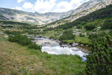 Obraz premium Summer view of Pirin Mountain around Banderitsa River, Bulgaria