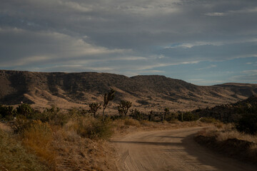 At Joshua Tree, Calofornia, landscape, desert, mountain, sky, mountains