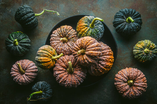 Variety of green and orange heirloom pumpkins arranged in black bowl and on custom teal and copper background