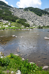 Summer view of Pirin Mountain around Banderitsa River, Bulgaria