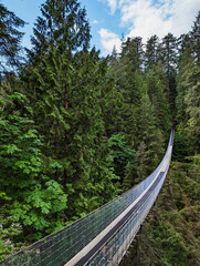 Capilano Suspension Bridge in Vancouver Surrounded by Lush Forest
