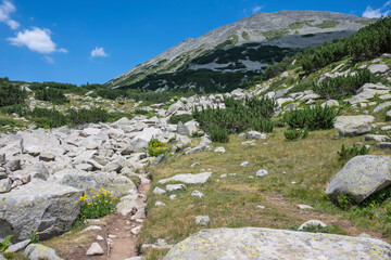 Summer view of Pirin Mountain around Banderitsa River, Bulgaria