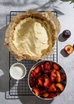 Plum Cake, with ice cream, sunshine, natural shadows