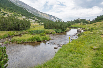 Summer view of Pirin Mountain around Banderitsa River, Bulgaria