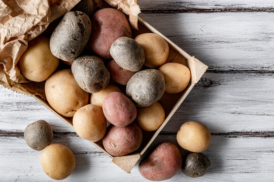 Group of different type of potatoes: purple potatoes, red potatoes, and russet potatoes, on a light wooden table.