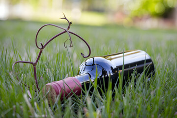 Naklejka premium Wine Bottle Corked bottle in grassy field evokes rustic garden charm