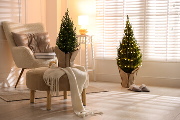 Small spruce trees decorated with Christmas lights indoors