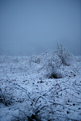 Road in the forest ,snowy and misty weather around the forest.Beautiful alndscape with snow and trees.Snow covered trees in the forest,landscape photography , blue colors at the morning.Winter picture