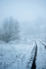 Christmas landscape in the forest , beautiful snowy weather , snow covered trees , road in the forest.Cold pictures,wizzard in the woodlands,Blue colors,snowy and foggy weather , landscape at morning