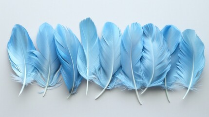 Naklejka premium Row of light blue feathers on gray background.