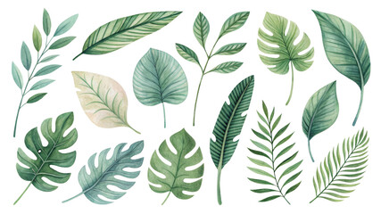 Watercolor Tropical Leaves Set with 15 Isolated Green Elements, tropical, leaves, watercolor, botanical