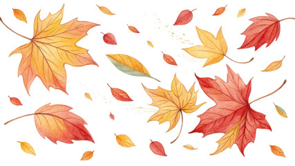 Watercolor Autumn Leaves Composition Falling Maple Leaves Isolated on White Background, Autumn, Fall Foliage, Watercolor Illustration

Autumn leaves, watercolor painting, fall, maple leaf