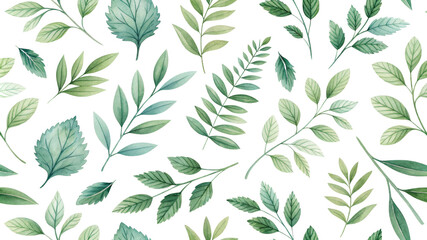 Top View Watercolor Green Leaves Composition, Isolated on White Background, Botanical Illustration, Nature Pattern

watercolor leaves, green leaves, botanical illustration, foliage