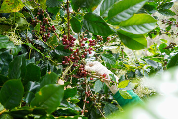 Various services related to eyesight By a team that has expertise in eyesight.