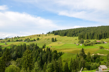 Fototapeta premium Picturesque view of lush green hills and dense forest under a clear blue sky. The serene rural landscape is dotted with small houses and fields, capturing nature's tranquility. Carpathians, Ukraine
