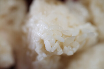  Tapai is a fermented food made from inoculating a carbohydrate with a starter culture