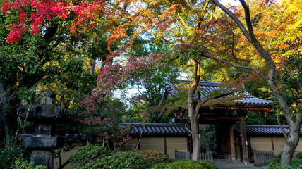 色付き始めた寺院の山門