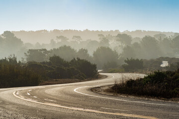 Fog on 17-mile Drive in Pebble Beach