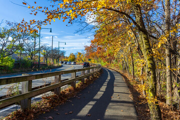 Scenic Autumn View Along The
