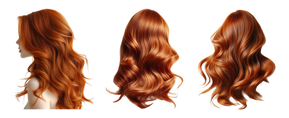 Fototapeta premium Elegant Wavy Hair on Transparent Background