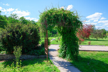 Park with a pathway leading through an archway covered in lush green leaves. Surrounding the archway are various bushes and trees, with green and red foliage in the background