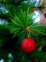 Christmas ornaments in the shape of a red ball among the leaves of the Christmas tree. 