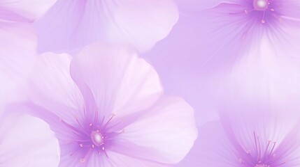 Fototapeta premium Beautiful Pink and Purple Flower Blossoms in Spring Macro Close-Up